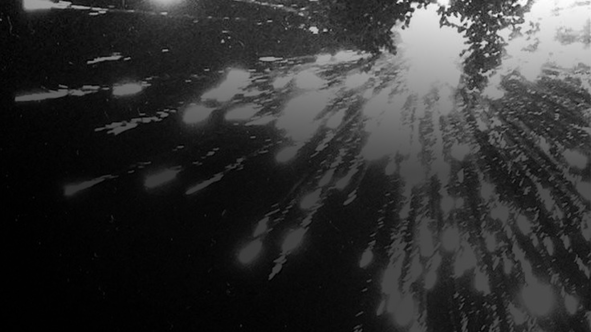 Rain and reflection — visual reference